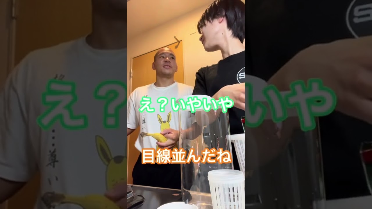 1754262872_maxresdefault-7483457-5329291-jpg