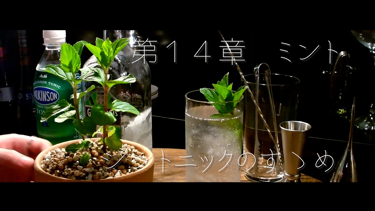 1762122976_maxresdefault-2902392-5826941-jpg