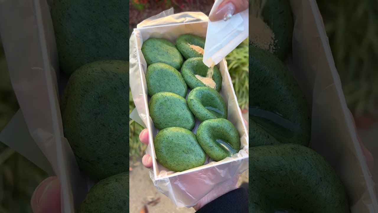 1764401397_maxresdefault-7606019-8058100-jpg