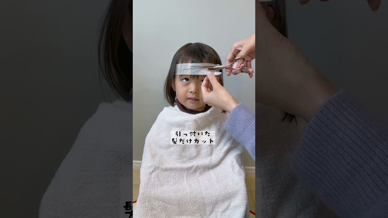 1766393655_maxresdefault-6364507-5905075-jpg