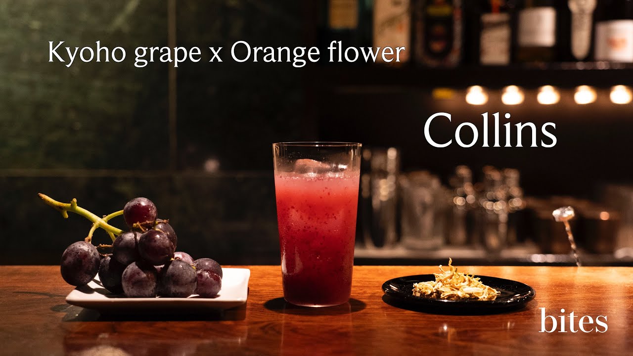 1768128089_maxresdefault-6812236-1383961-jpg