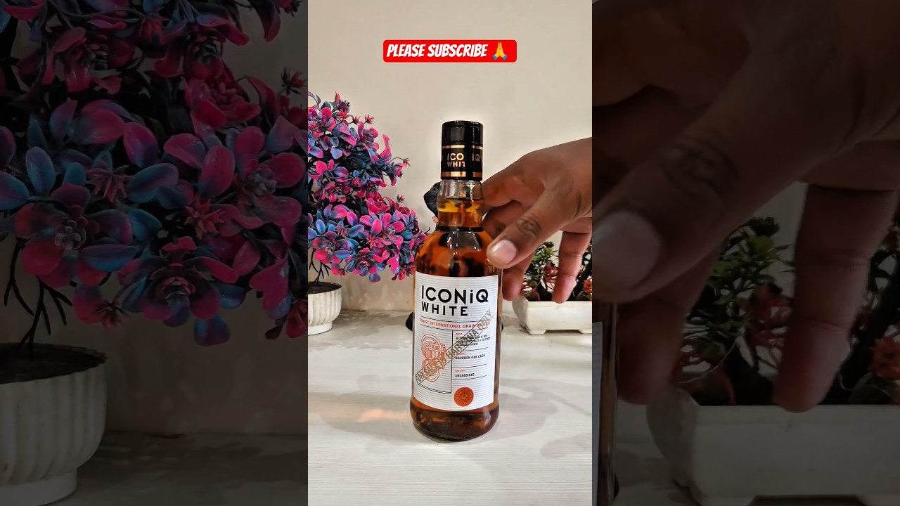 1770813379_maxresdefault-5990598-9917991-jpg