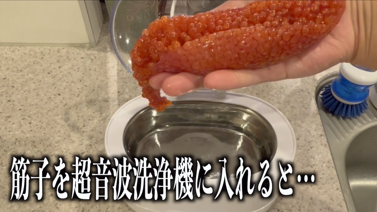 1771503711_maxresdefault-7505176-6722107-jpg