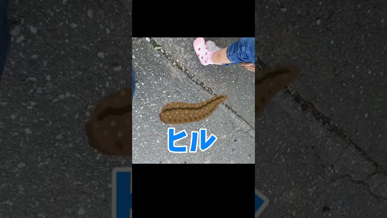 1771879108_maxresdefault-2355471-3421866-jpg